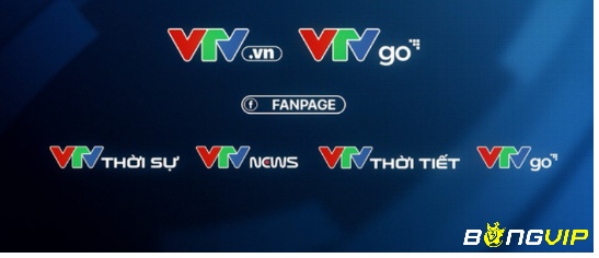 Web VTV.vn xem bóng miễn chê