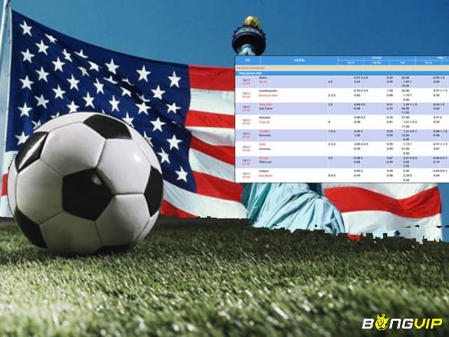 BONGVIP giới thiệu về tỷ lệ cược bóng đá dễ hiểu cho người chơi mới