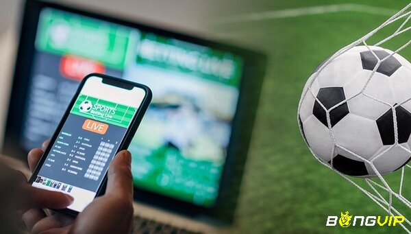 Cá độ bóng đá online là gì?