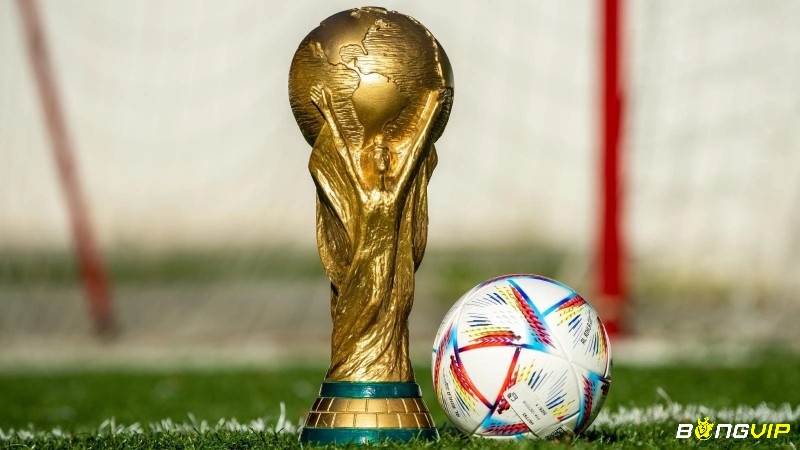 World Cup là giải đấu bóng đá quốc tế quan trọng nhất và được FIFA tổ chức