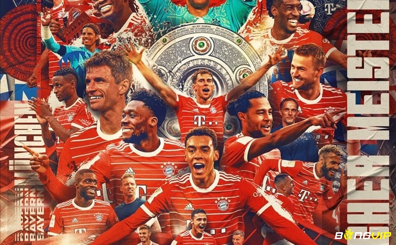 Giới thiệu thông tin giải đấu Bundesliga