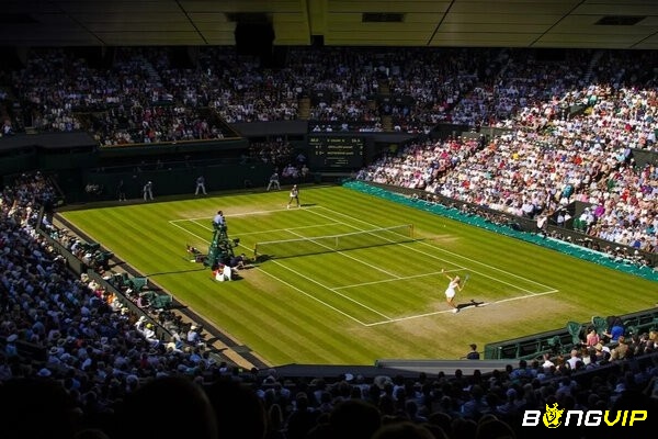 Sân cỏ tự nhiên được sử dụng trong giải Wimbledon