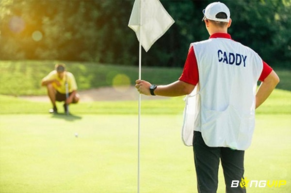 Caddy hỗ trợ người chơi trên sân golf 