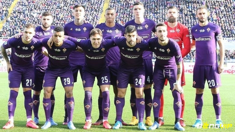 Thành tích đáng nể của CLB Fiorentina qua các mùa giải, các giải đấu