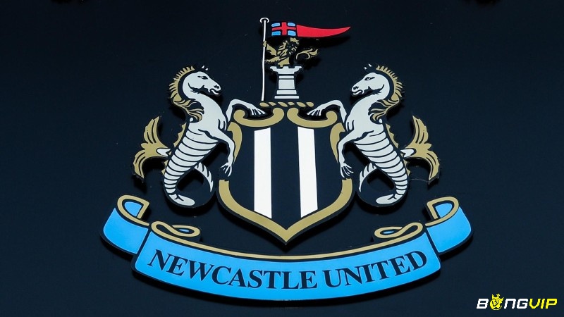  CLB Newcastle trải qua nhiều giai đoạn thăng trầm trong bóng đá