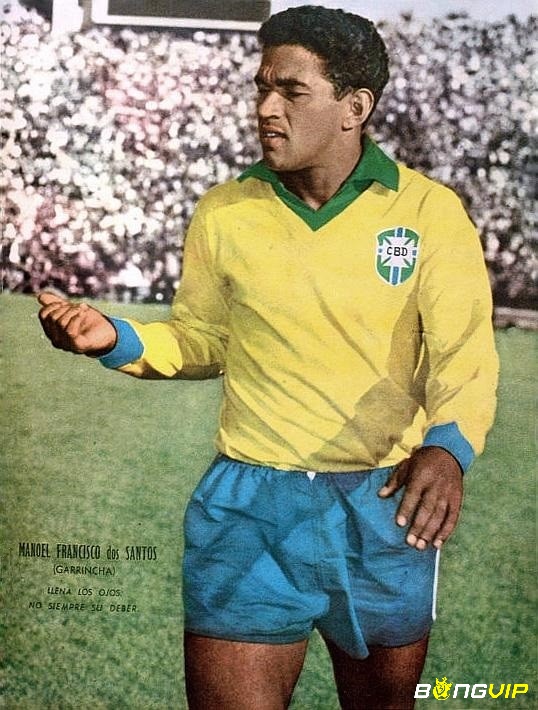  Garrincha và Pelé là trái tim của đội tuyển Brazil