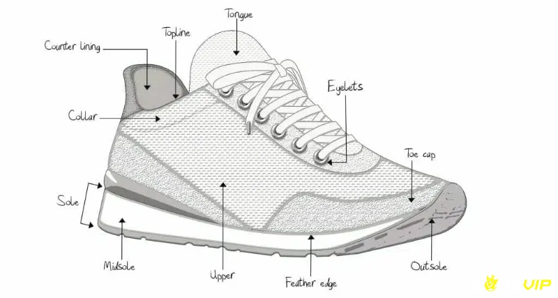 Cấu trúc của một đôi giày golf
