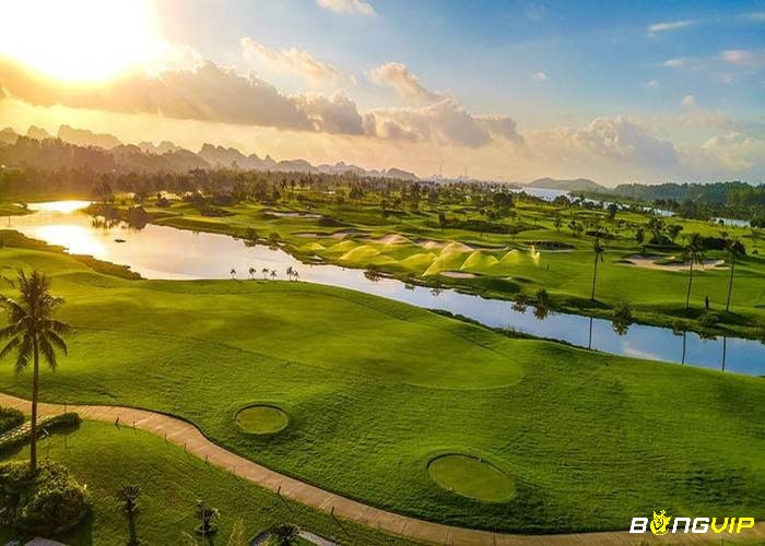 Sân golf Minh Trí có màu xanh tươi mát đầy sức sống