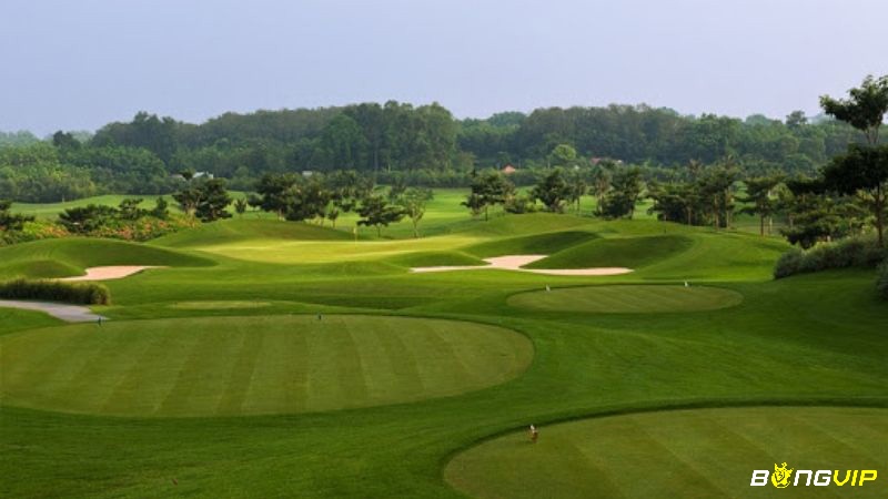 Twin Doves Golf Club là sân golf Bình Dương do kiến trúc sư Greg Norman thiết kế